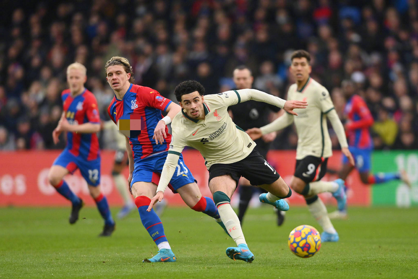 崛起与影响 崛起与影响